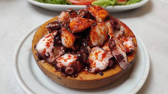 Primer Plato a elegir